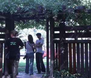 sideyard
