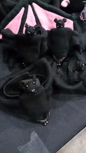 10676176_10205378550686985_5185937159470982310_n